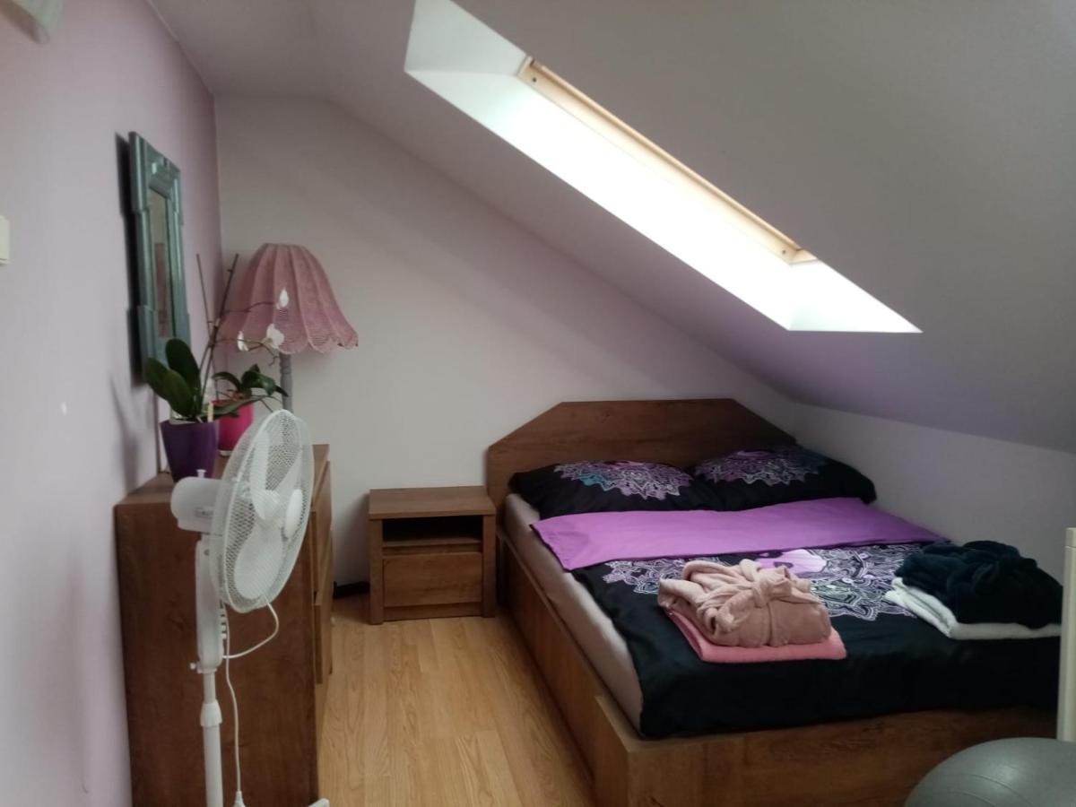 Podkrovni Apartman Tereza Lägenhet Rumburk Exteriör bild