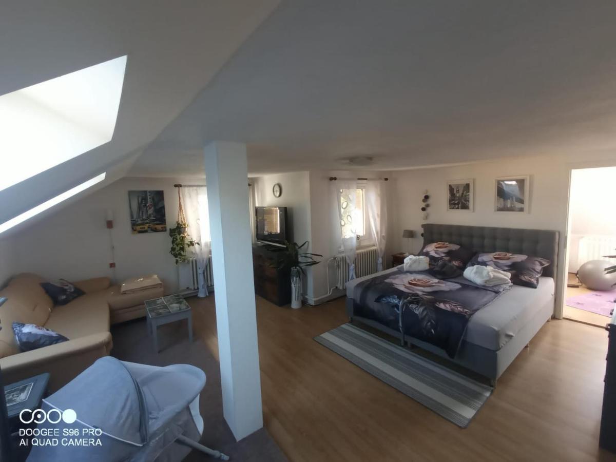 Podkrovni Apartman Tereza Lägenhet Rumburk Exteriör bild