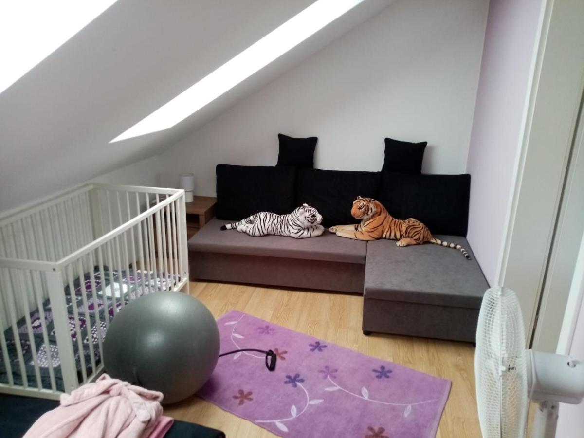 Podkrovni Apartman Tereza Lägenhet Rumburk Exteriör bild